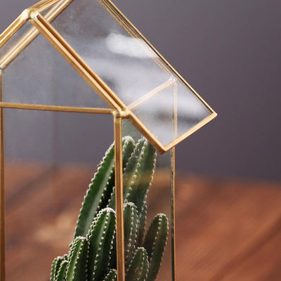 집 모양 기하학적인 다즙 Terrarium, 보석 홀더 공기 식물 콘테이너 협력 업체