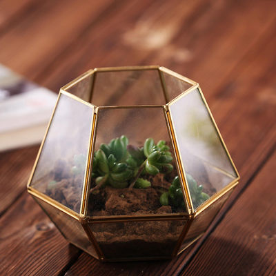 현대 탁상 장식 유리제 Homeware 기하학적인 Terrarium DIY 꽃 전시 화병 협력 업체