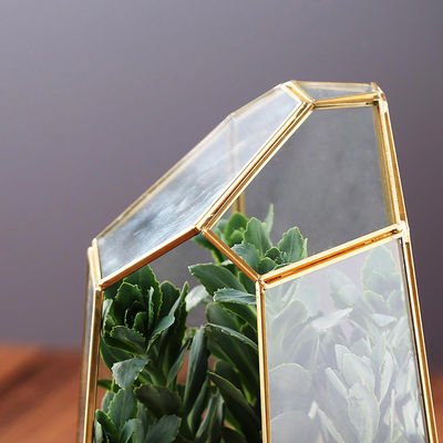 큰 Terrarium 다즙 식물을 위한 유리제 Homeware 육각형 재배자 콘테이너 협력 업체